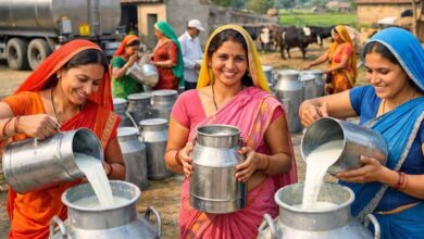 6 जिलों में 55 हजार से ज्यादा महिलाएं बनीं सफल उद्यमी, आत्मनिर्भरता की मिसाल