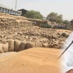 समर्थन मूल्य पर गेहूं उपार्जन का लक्ष्य बढ़ाने भारत सरकार से चर्चा जारी: मुख्यमंत्री डॉ. यादव