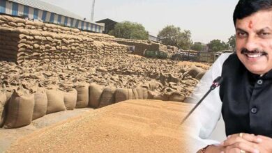 समर्थन मूल्य पर गेहूं उपार्जन का लक्ष्य बढ़ाने भारत सरकार से चर्चा जारी: मुख्यमंत्री डॉ. यादव