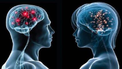 2 घंटे मोबाइल से दूर रहकर पाएं मानसिक ताजगी, बढ़ेगी याददाश्त