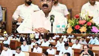 पेयजल, अवैध प्लॉटिंग और निर्माण पर डिप्टी CM साव सख्त, अभियंता सस्पेंड के निर्देश