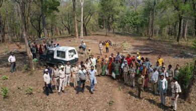 Udanti Sitanadi Tiger Reserve में अतिक्रमण की कोशिश नाकाम, वन विभाग ने 22 लोगों को किया गिरफ्तार