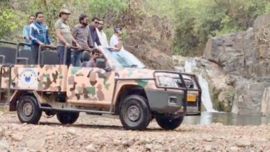 Kawardha में जल्द शुरू होगी जंगल सफारी, 35 किमी रूट पर 22 बार नदी पार करने का रोमांच