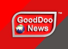 कूनो से फिर मिली बड़ी खुशखबरी, चीता गामिनी ने 4 शावकों को दिया जन्म