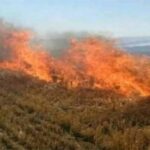 नरवाई जलाना खेत और सेहत दोनों के लिए हानिकारक : कृषि मंत्री कंषाना