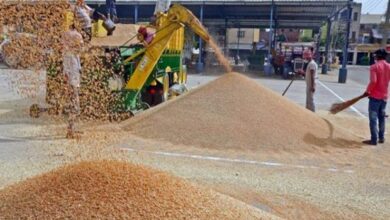 मुख्यमंत्री ने गेहूं खरीद में किसानों को दी बड़ी राहत