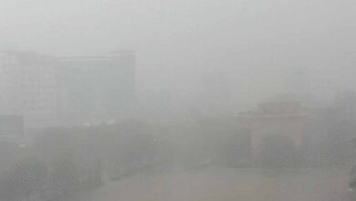 लखनऊ में तूफान का कहर: दिन में छाया अंधेरा, सैकड़ों पेड़ गिरे