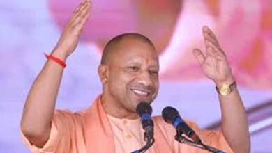 यूपी में गोशालाओं को मिलेगा नया बिजनेस मॉडल, जैविक खेती पर जोर