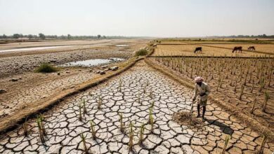 मानसून से पहले बड़ा खतरा! 75 साल की सबसे गंभीर चेतावनी से करोड़ों लोगों की बढ़ी चिंता