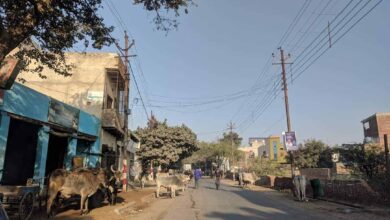वृंदावन परिक्रमा मार्ग में अतिक्रमण हटाया गया, श्रद्धालुओं को राहत