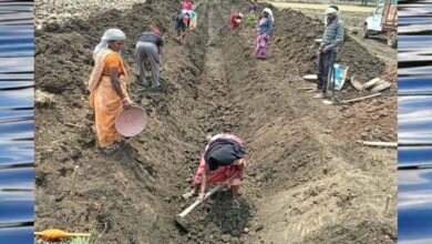 जल गंगा संवर्धन अभियान-पुष्पराजगढ़ में ‘जल गंगा संवर्धन अभियान’ से हो रहा है नहर सुदृढ़ीकरण
