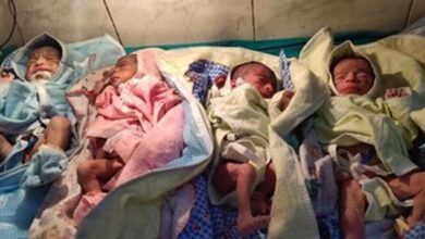 झाबुआ में DAVV का मेडिकल कॉलेज बनेगा, कुलगुरु बोले- जमीन अलॉट, मेडिकल कॉलेज के लिए अनुमति का इंतजार