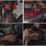 धार में भीषण सड़क हादसा: पिकअप-स्कॉर्पियो की टक्कर में 5 की मौत, 15 से ज्यादा घायल