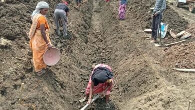पुष्पराजगढ़में ‘जल गंगा संवर्धन अभियान’ से हो रहा है नहर सुदृढ़ीकरण