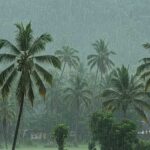 समय से पहले दस्तक की उम्मीद टूटी, आखिर क्यों लेट हुआ मॉनसून?