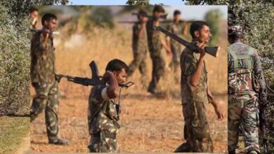 छत्तीसगढ़ में 76 CRPF जवानों की हत्या का मामला: सबूत न मिलने के कारण सभी आरोपी हाईकोर्ट से बरी