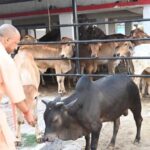 भूसा दान आदेश नहीं, लोक कल्याण का पुनीत अभियान
