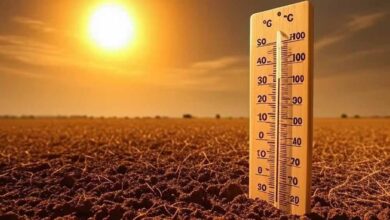 भीषण गर्मी का कहर, रतलाम देश का चौथा सबसे गर्म शहर; पारा 46.5 डिग्री पर पहुंचा