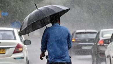प्री-मानसून की दस्तक तेज: आज से 5 मई तक कई राज्यों में भारी बारिश का अलर्ट