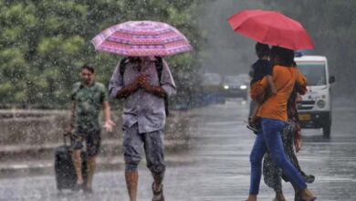 MP के 8 जिलों में बारिश का अलर्ट, 30-40 किमी/घंटा की रफ्तार से आंधी; भोपाल-इंदौर में तेज गर्मी जारी