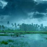 Monsoon Update: बिहार-झारखंड में जल्द होगी जोरदार बारिश, जानिए यूपी और दिल्ली में कब देगा दस्तक
