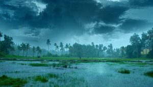 Monsoon Update: बिहार-झारखंड में जल्द होगी जोरदार बारिश, जानिए यूपी और दिल्ली में कब देगा दस्तक
