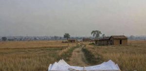 हरियाणा के सबसे पुराने भूमि विवाद में फिर से होगी जांच, 2 महीने में नया फैसला देने के निर्देश हरियाणा के सबसे पुराने भूमि विवाद में फिर से होगी जांच, 2 महीने में नया फैसला देने के निर्देश