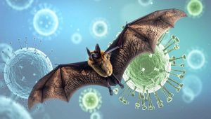 Nipah Virus Alert: केरल में मिला नया मामला, 43 साल के शख्स के संक्रमित होने से बढ़ी चिंता