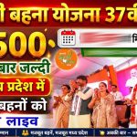 लाडली बहनों के लिए खुशखबरी! 37वीं किस्त जारी होने की तारीख पर आया नया अपडेट लाडली बहनों के लिए खुशखबरी! 37वीं किस्त जारी होने की तारीख पर आया नया अपडेट