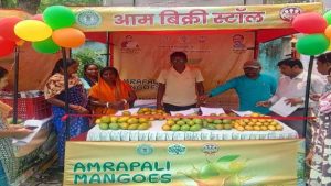 आम महोत्सव बना सफलता की मिसाल, किसानों और महिला एफपीओ को मिला बेहतर बाजार