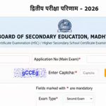 एमपी बोर्ड 12वीं द्वितीय परीक्षा का रिजल्ट घोषित, रोल नंबर से तुरंत देखें अपना परिणाम
