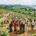हरियाली बढ़ाने के लिए मनरेगा से पहाड़ियों पर हरित मॉडल विकसित करेगा प्रशासन