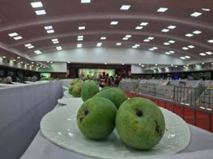 डीएमसी मॉल में आम प्रदर्शनी, लोगों ने खरीदा नहीं सिर्फ फोटो खींचे