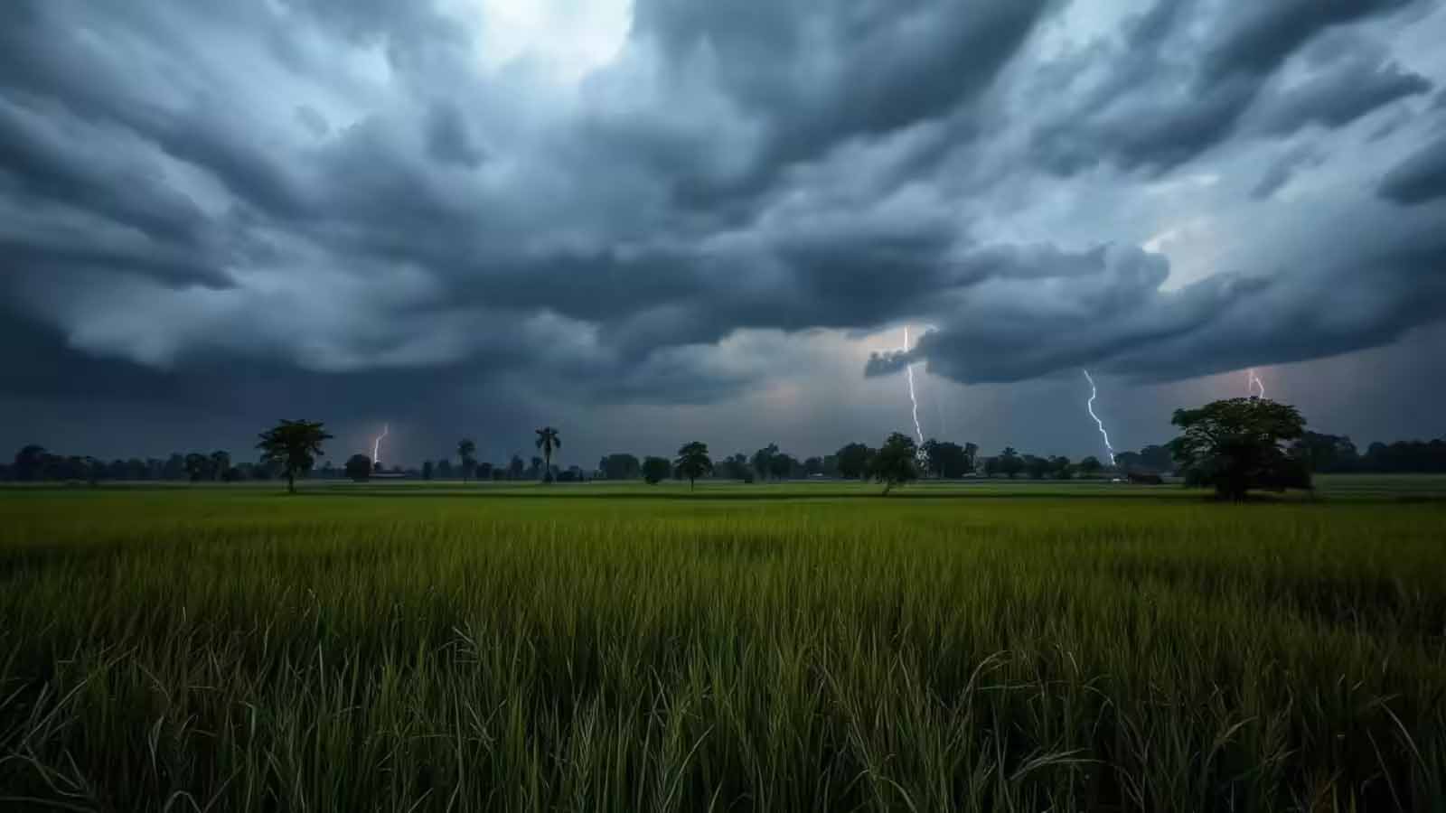 मौसम बदलेगा मिजाज: पूरे झारखंड में बारिश के आसार, पलामू-गढ़वा में 40°C तक पहुंचेगा पारा मौसम बदलेगा मिजाज: पूरे झारखंड में बारिश के आसार, पलामू-गढ़वा में 40°C तक पहुंचेगा पारा