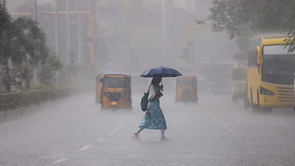 मध्य प्रदेश में बदला मौसम का मिजाज, 28 जिलों में बारिश और तेज हवाएं; मानसून की एंट्री पर बड़ा अपडेट मध्य प्रदेश में बदला मौसम का मिजाज, 28 जिलों में बारिश और तेज हवाएं; मानसून की एंट्री पर बड़ा अपडेट