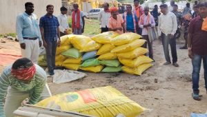 जशपुर में किसानों को राहत, खाद-बीज की पर्याप्त उपलब्धता; प्रशासन की सख्ती से कालाबाजारी पर लगाम
