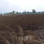 किसानों के लिए मुश्किल बढ़ी, 13 जिलों में बारिश का इंतजार; जल्दबाजी में बोवनी न करने की सलाह