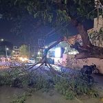 गर्मी से राहत जारी! पंजाब में बारिश और आंधी का अलर्ट, पारा सामान्य से नीचे