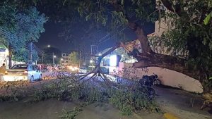 गर्मी से राहत जारी! पंजाब में बारिश और आंधी का अलर्ट, पारा सामान्य से नीचे