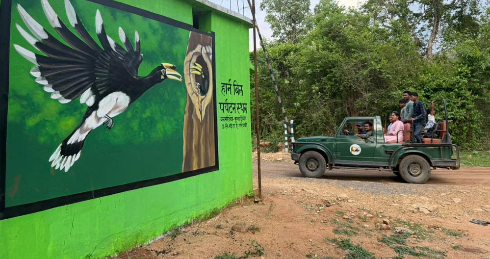 वन मंत्री केदार कश्यप की पहल, उदंती-सीतानदी टाइगर रिजर्व में शुरू होगी हॉर्नबिल सफारी