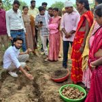 धमतरी का नगरी बनेगा हल्दी उत्पादन का नया हब, 250 किसानों ने अपनाई वैज्ञानिक खेती