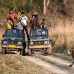 मध्य प्रदेश के टाइगर रिजर्व में टूटा पर्यटन का रिकॉर्ड, 10 लाख से अधिक पर्यटक पहुंचे; मंगलवार से बंद रहेंगे पार्क