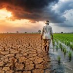 मानसून पड़ा कमजोर! जून में सामान्य से 42% कम बारिश, एल-नीनो ने बढ़ाई चिंता