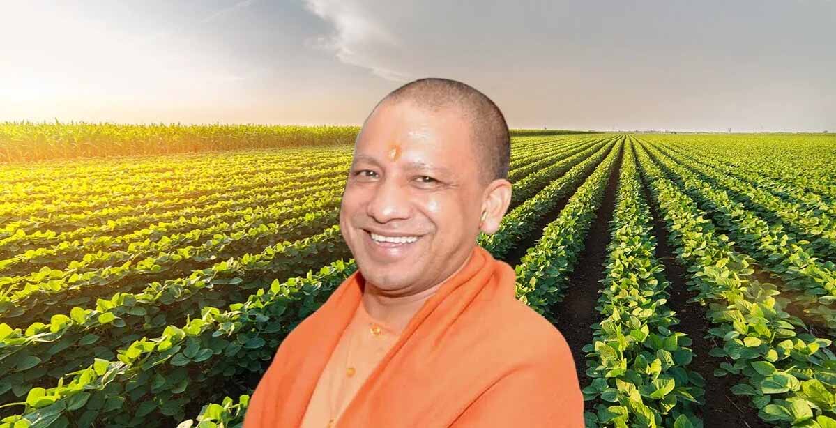 फार्म-टू-कंज्यूमर मॉडल से सीधे घर पहुंचेगा जैविक भोजन, किसानों को मिलेगा नया बाजार