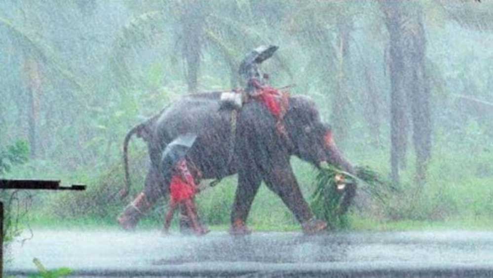 मानसून ने पकड़ी रफ्तार, देश में बारिश की शुरुआत; यूपी और बिहार के लिए बड़ा अपडेट