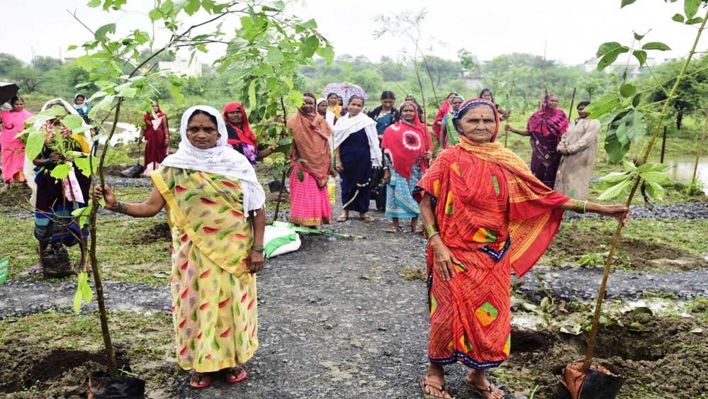 जनभागीदारी के दम पर हरियाली की ओर बढ़ता छत्तीसगढ़, पर्यावरण संरक्षण को मिली नई दिशा जनभागीदारी के दम पर हरियाली की ओर बढ़ता छत्तीसगढ़, पर्यावरण संरक्षण को मिली नई दिशा