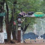 मानसून में वन संरक्षण को प्राथमिकता, झारखंड में एक करोड़ से अधिक पौधारोपण की तैयारी