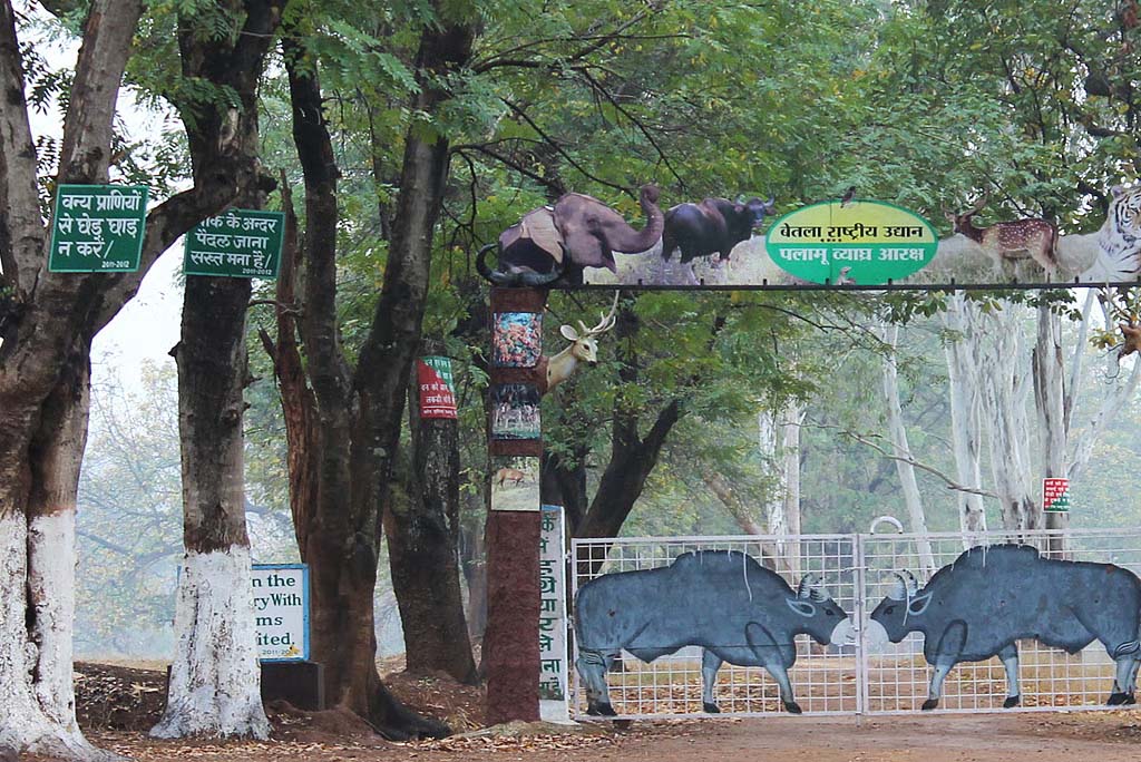 मानसून में वन संरक्षण को प्राथमिकता, झारखंड में एक करोड़ से अधिक पौधारोपण की तैयारी