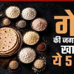 गेहूं का हेल्दी विकल्प: 5 हाई-फाइबर आटे जो बढ़ाएं सेहत गेहूं का हेल्दी विकल्प: 5 हाई-फाइबर आटे जो बढ़ाएं सेहत