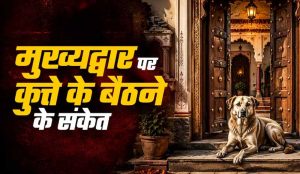 श्वान का धार्मिक महत्व: भैरव वाहन और सुरक्षा कवच की मान्यता